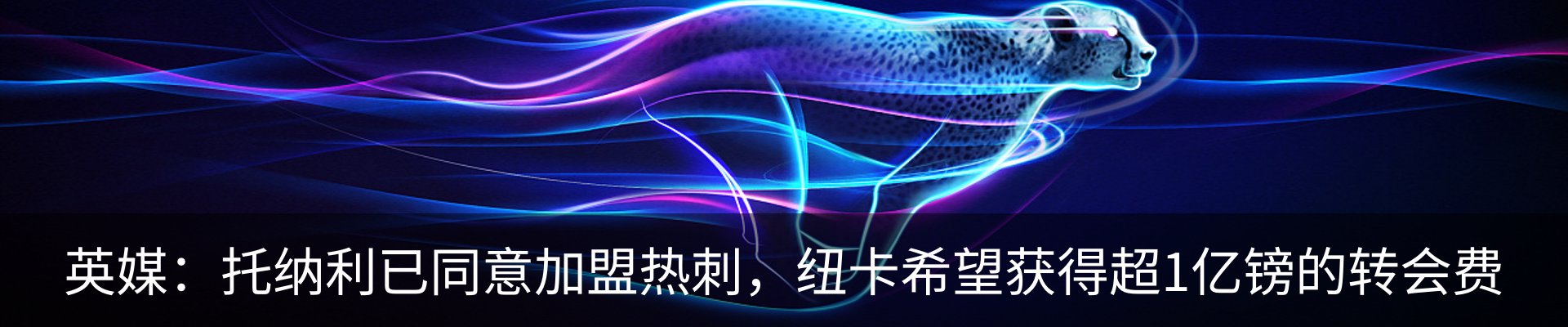 最新动态