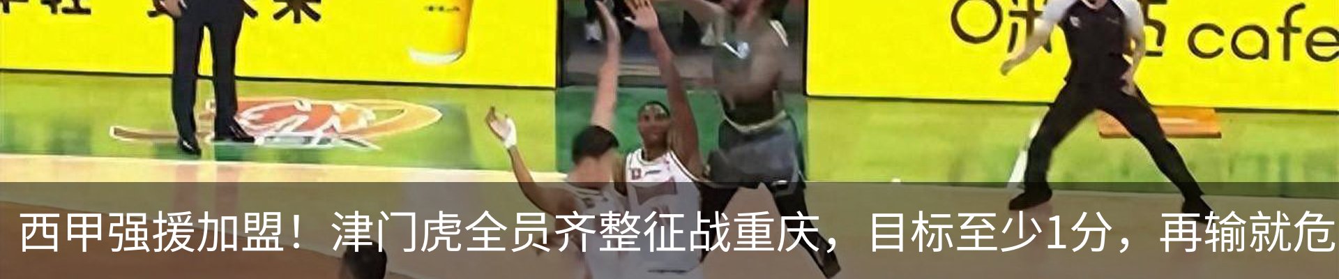最新动态