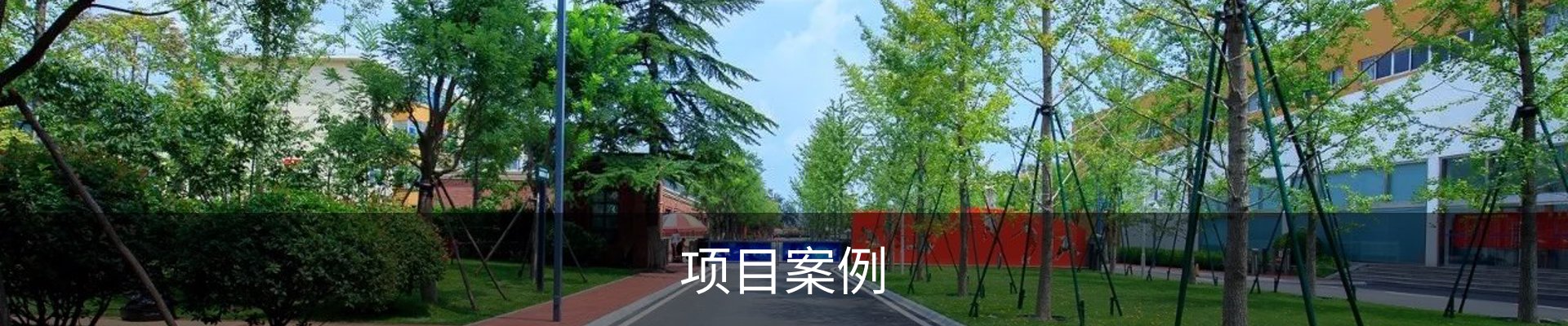 项目案例